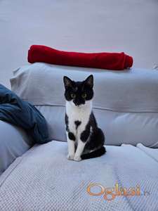 Preživela je ulicu, a sada ponovo može ostati bez doma.